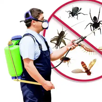 pest control Bel Air North